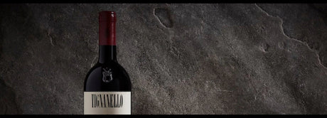 Tenuta Tignanello Collectors Wine World GmbH