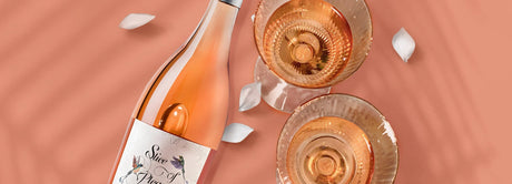 Empfehlungen Collectors Wine World GmbH