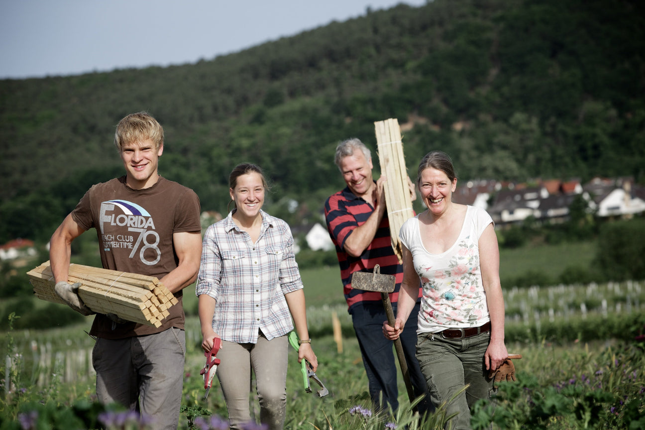 Frank John und sein Team beim Arbeiten im Weinberg