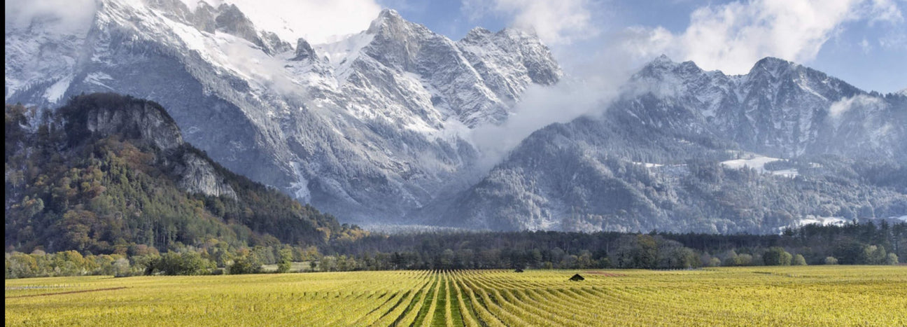 Schweiz Collectors Wine World GmbH