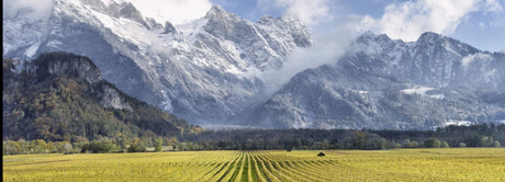 Schweiz Collectors Wine World GmbH