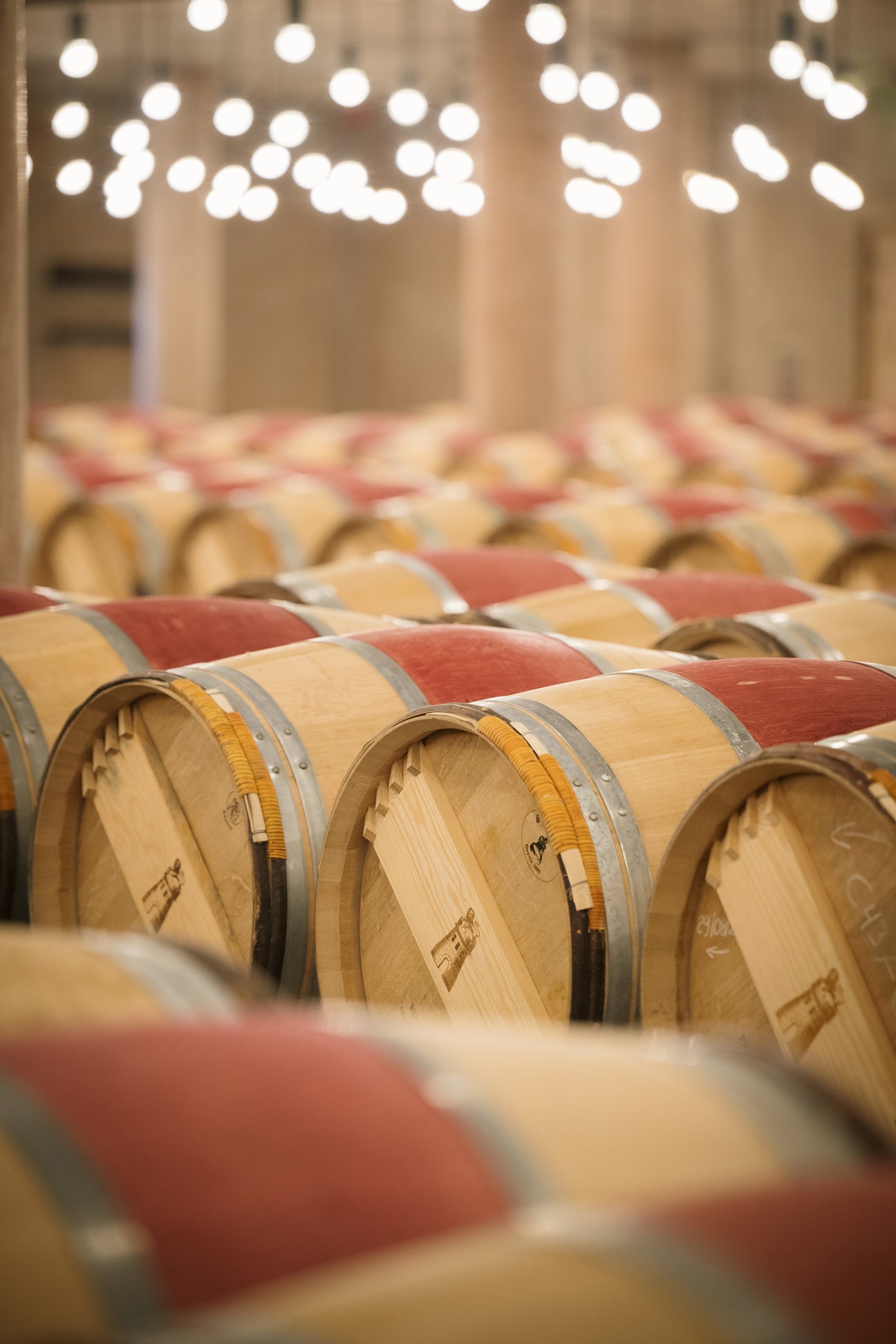 Winery of Château Latour