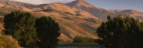 Neuseeland Collectors Wine World GmbH