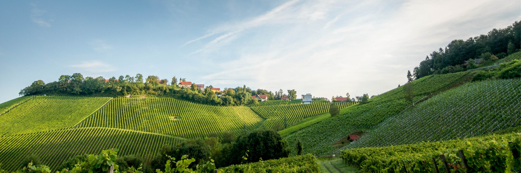 Domaine de la Commaraine