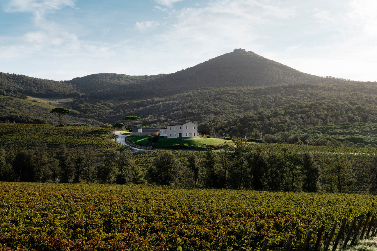 Tenuta dell' Ornellaia