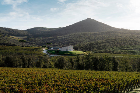 Tenuta dell' Ornellaia