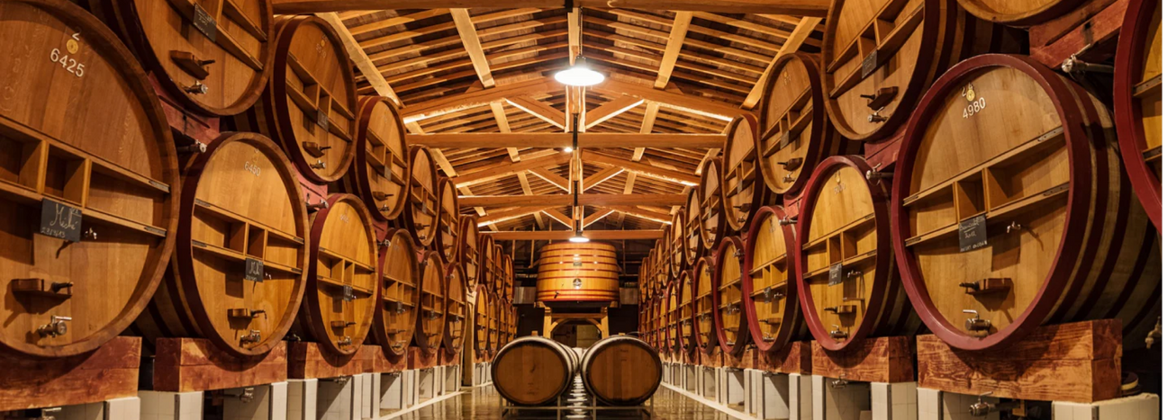 Château de Beaucastel Collectors Wine World GmbH