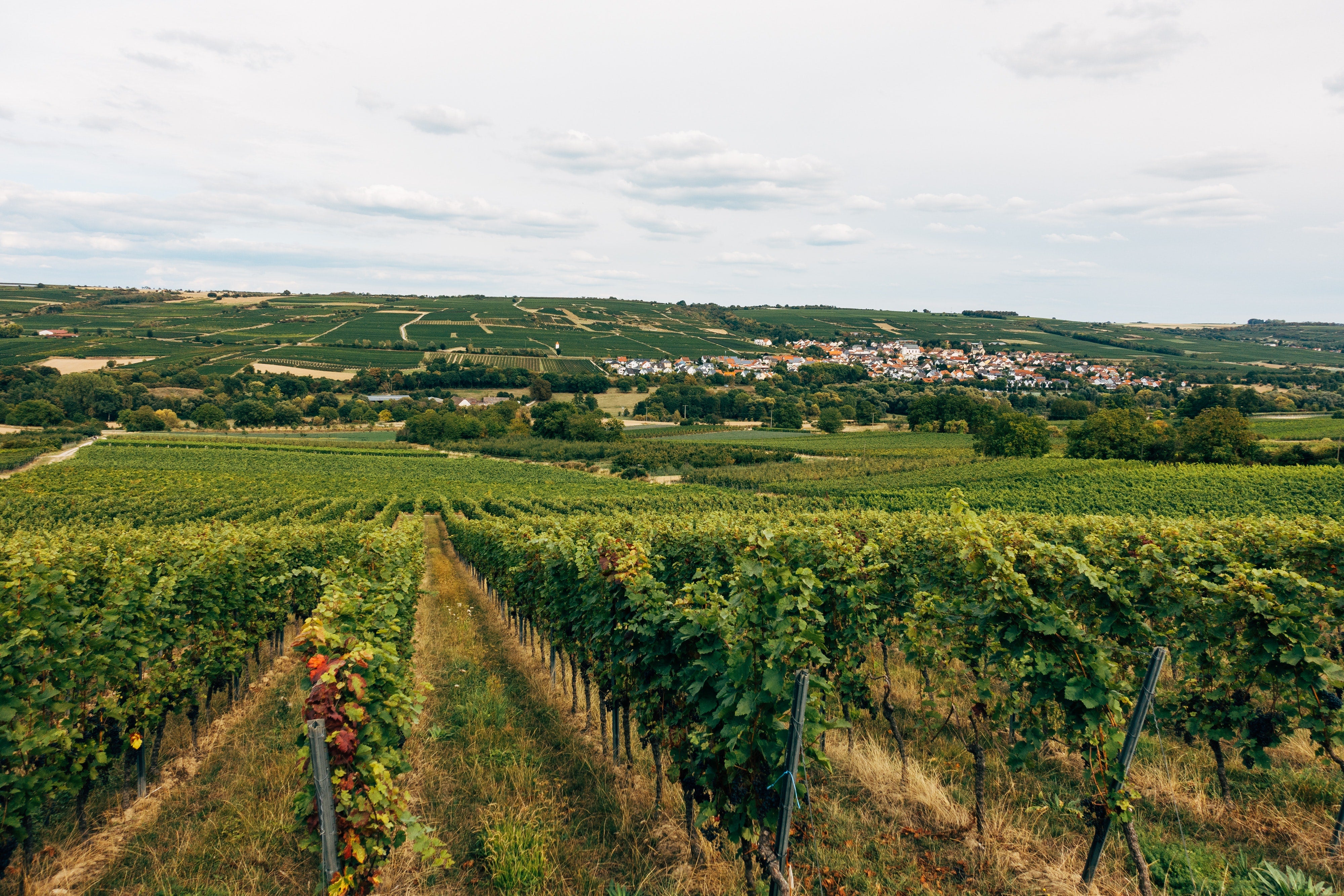 Côtes du Rhône