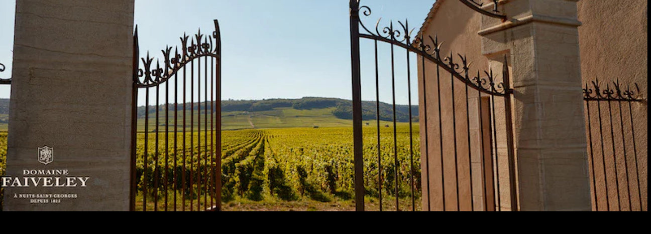 Burgund Collectors Wine World GmbH