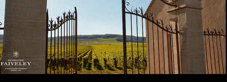 Burgund Collectors Wine World GmbH