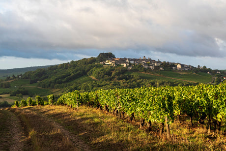 Weingüter Neuseeland