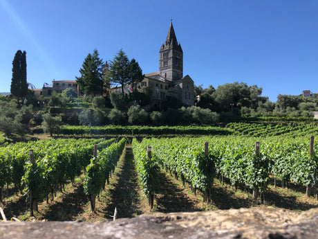 Saint Emilion Grand Cru Classé