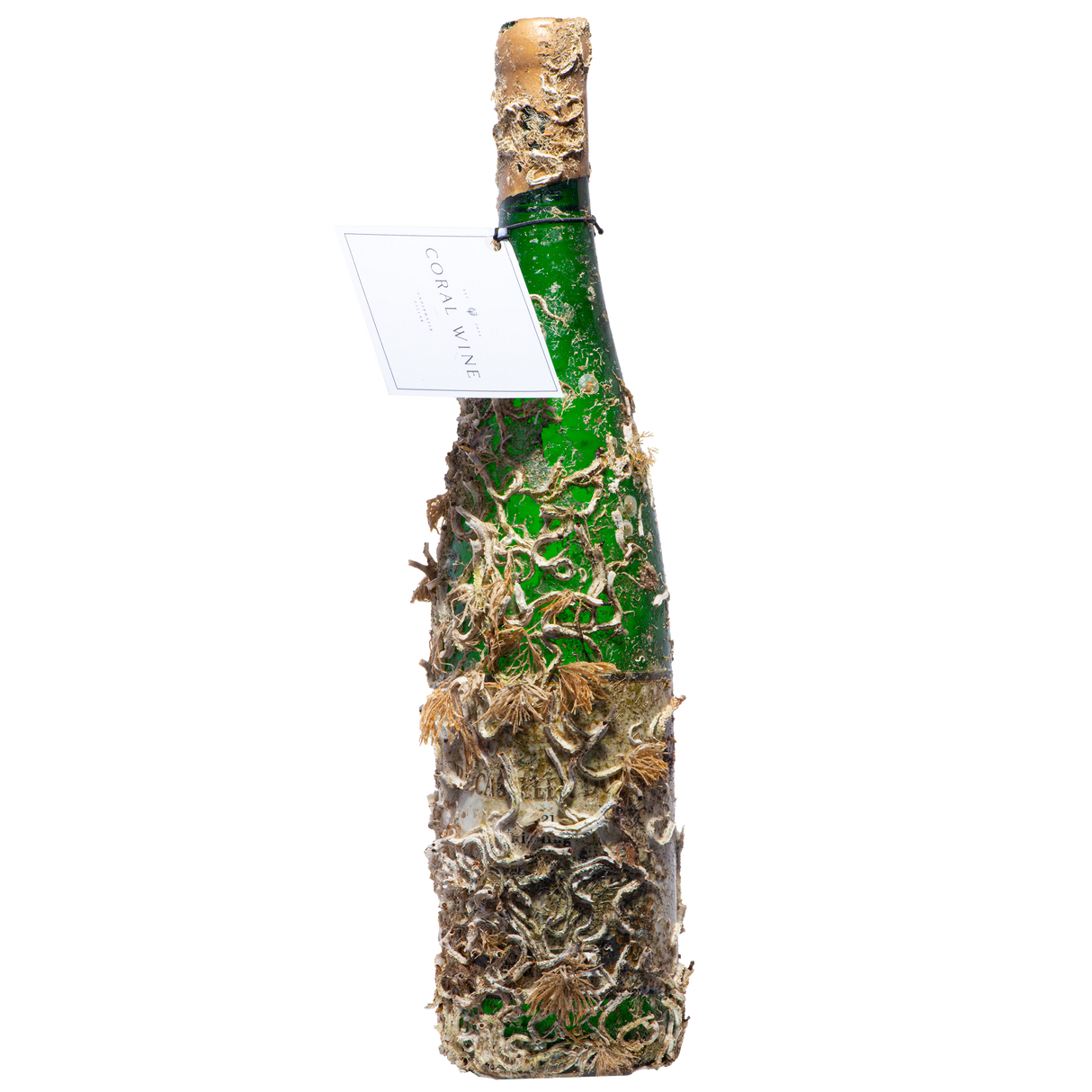 Coral Bernkasteler Doctor Gg21front