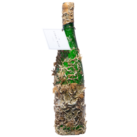 Coral Bernkasteler Doctor Gg21front