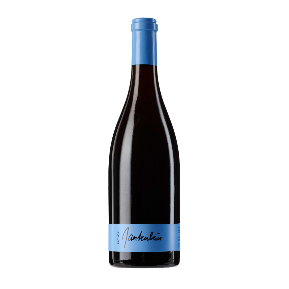 Gantenbein Pinot Noir Barrique trocken 2023