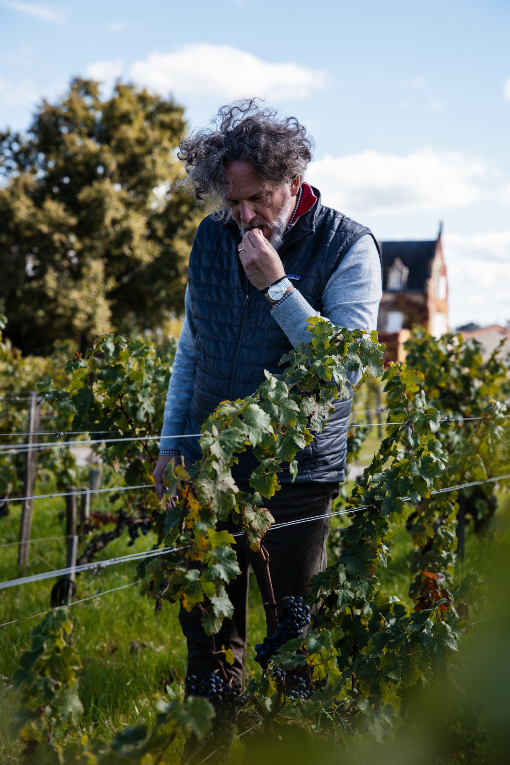 Collectors Wine World & Château Lascombes: Weinpremiere