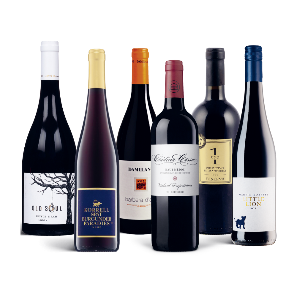 6er Sommerweinpaket Rot