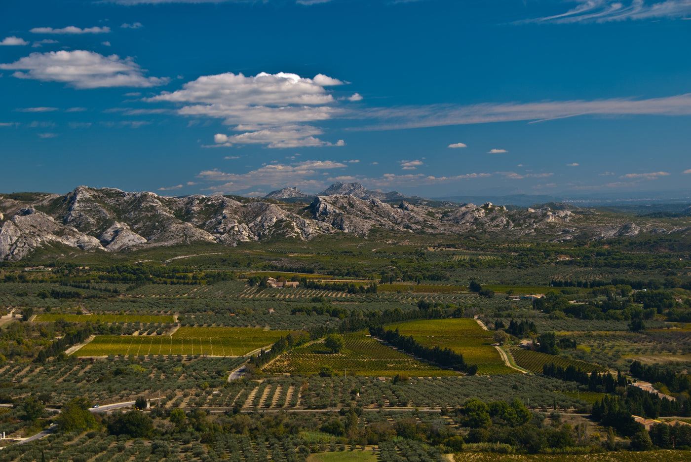 Spanien Weinregion