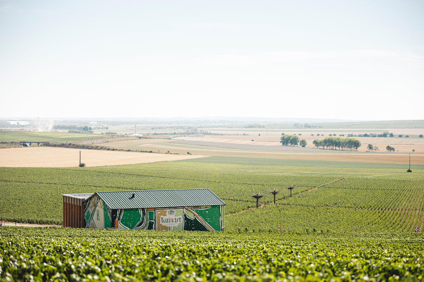 Winery of Champagne Ruinart