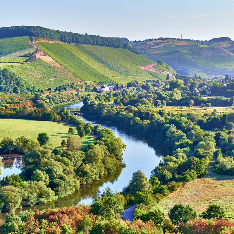 Event Weingut von Othegraven 18.06.2022 2 PAX Collectors Wine World GmbH